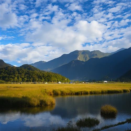 湖北神农架：走进大九湖景区，揭秘美丽风光与特色文化